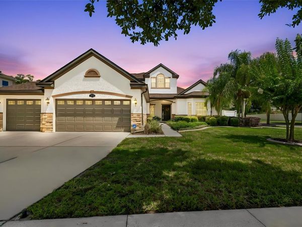 10524 MISTFLOWER LANE , TAMPA, FL 33647