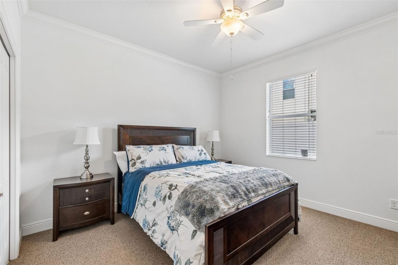 10524 Mistflower Lane, Tampa, FL 33647 Photo