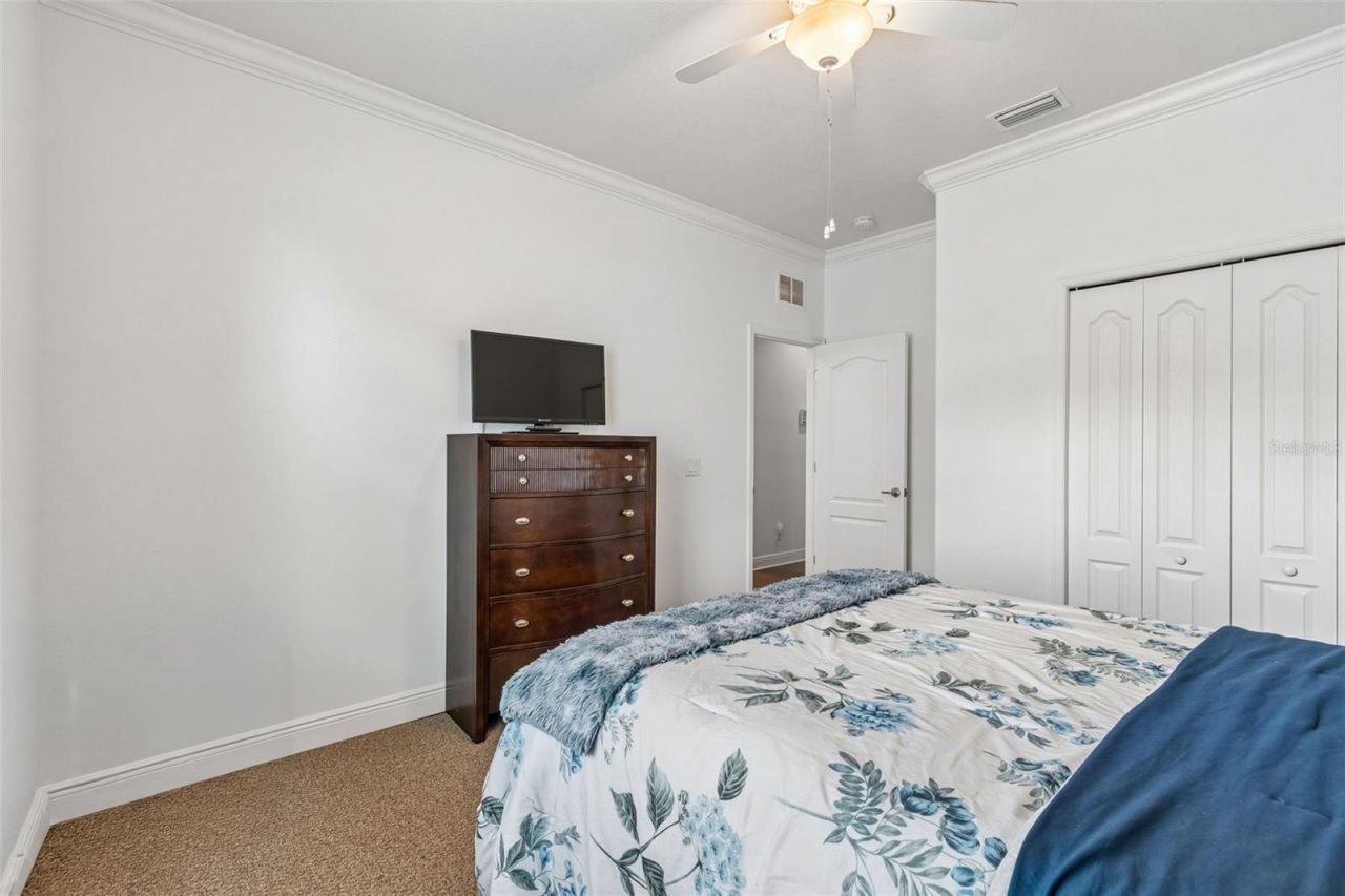 10524 Mistflower Lane, Tampa, FL 33647 Photo