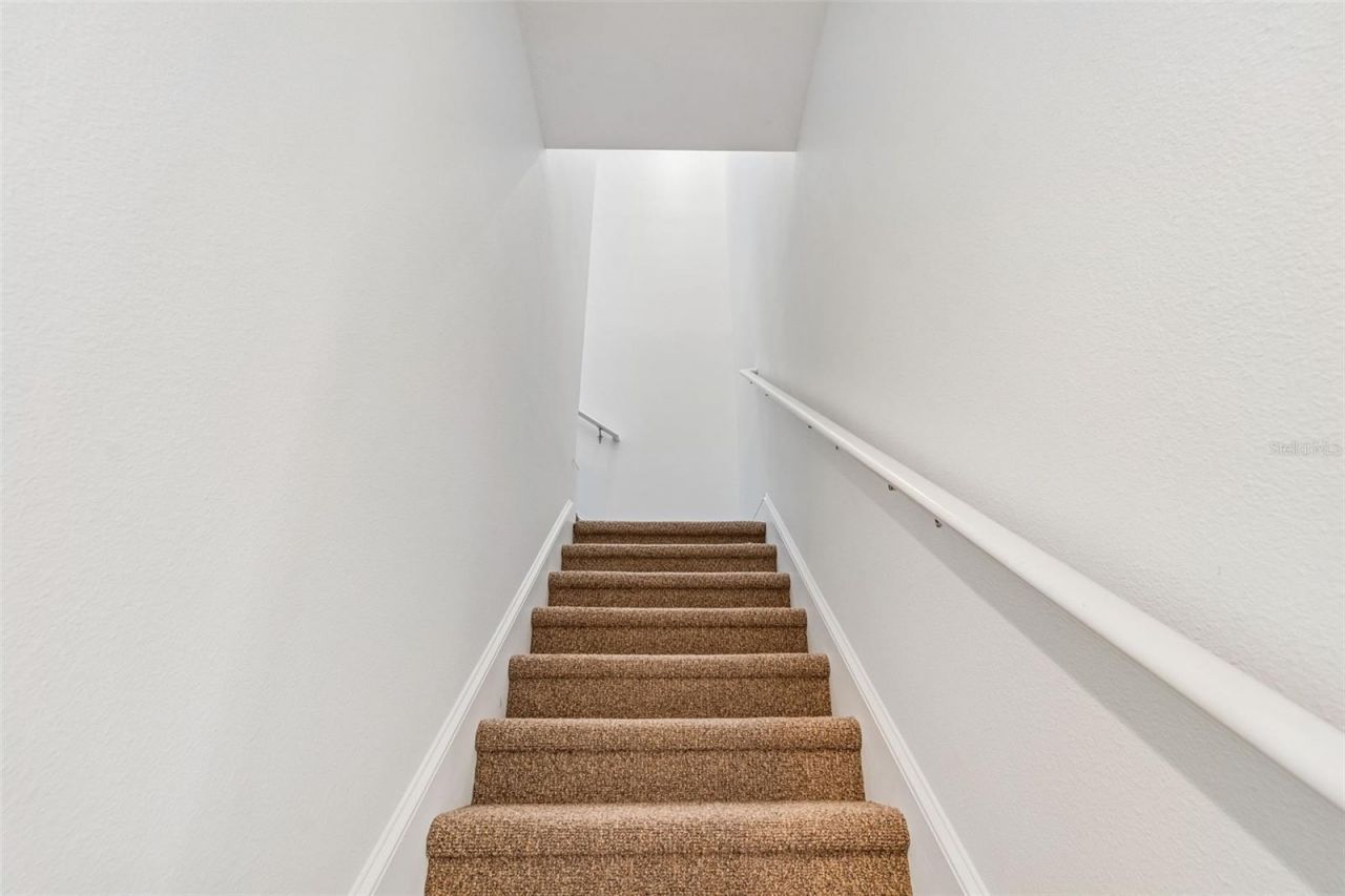 10524 Mistflower Lane, Tampa, FL 33647 Photo