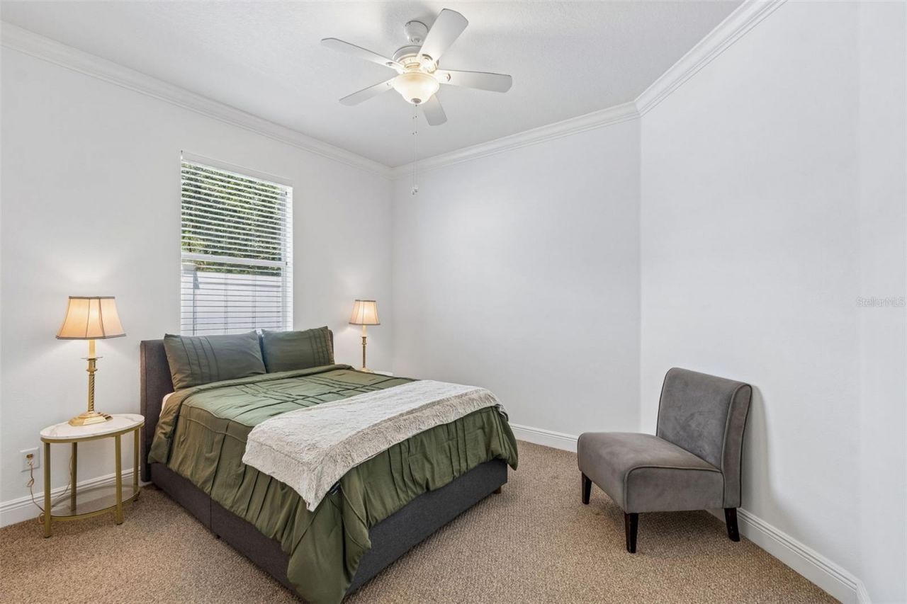 10524 Mistflower Lane, Tampa, FL 33647 Photo