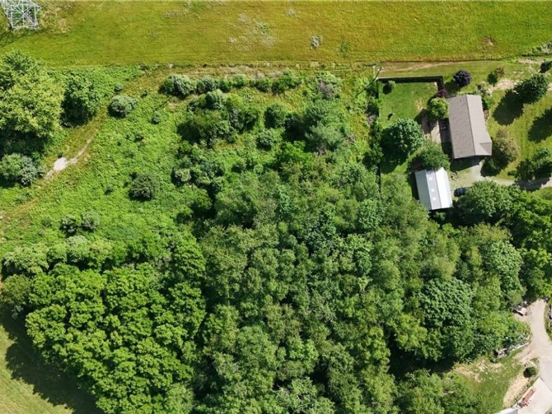 Fort Laurens Road , Bolivar, OH 44612 Photo 3