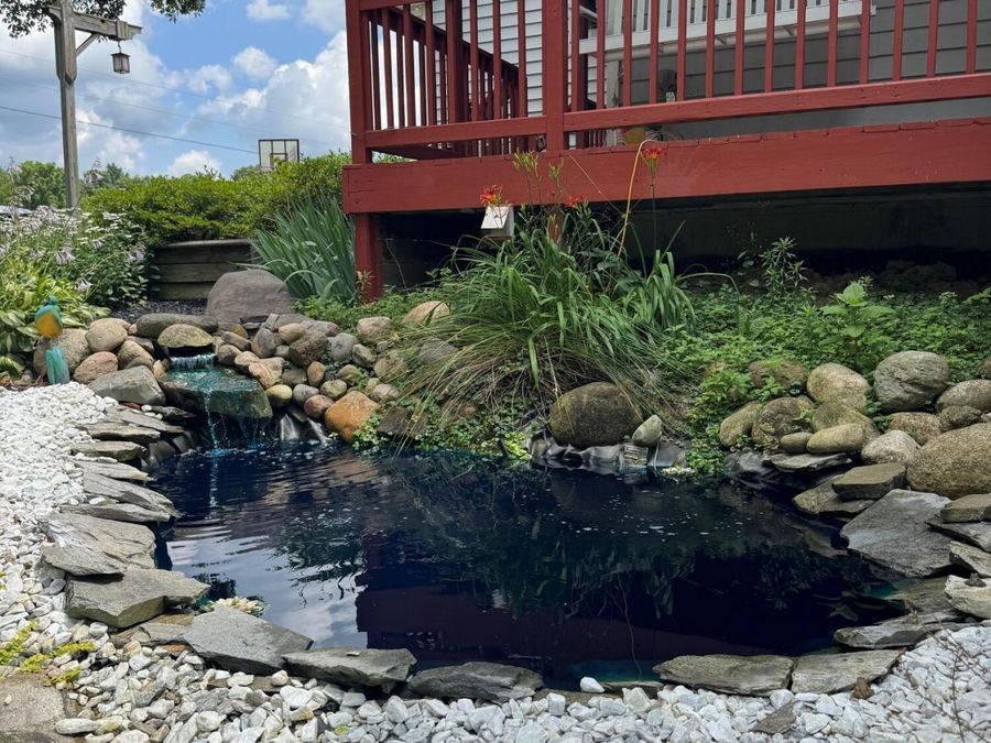 Property Image 6