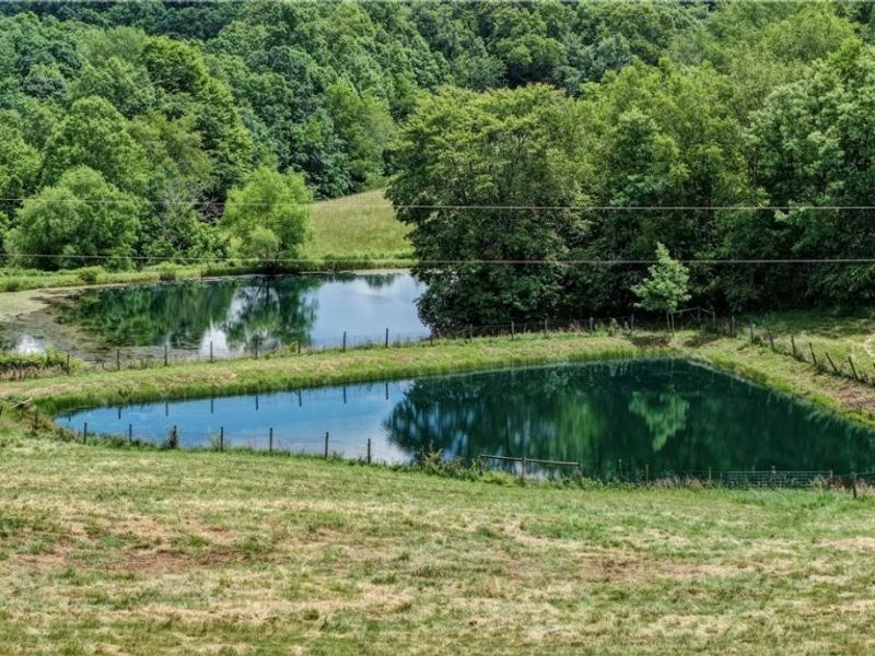 39780 State Route 800, Woodsfield, OH 43793 Photo 25