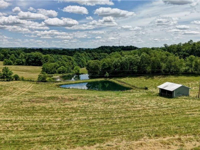39780 State Route 800, Woodsfield, OH 43793 Photo 10
