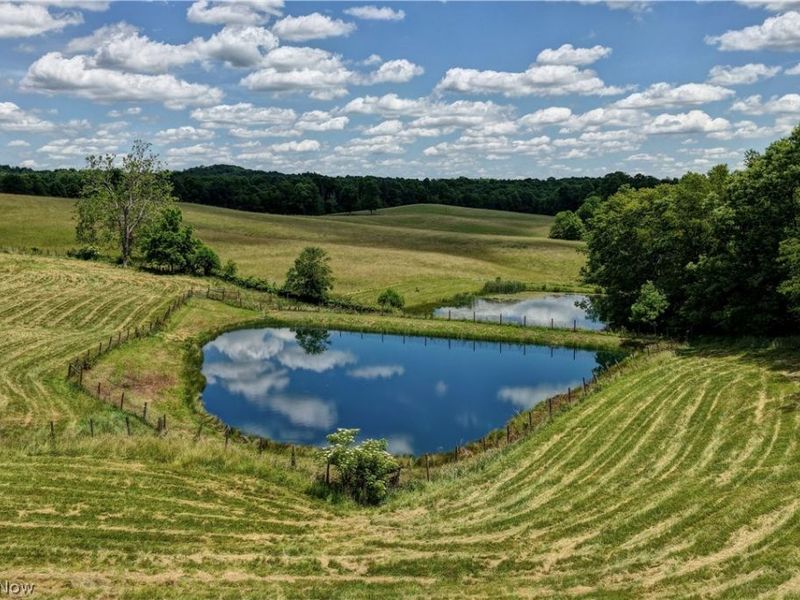39780 State Route 800, Woodsfield, OH 43793 Photo 12