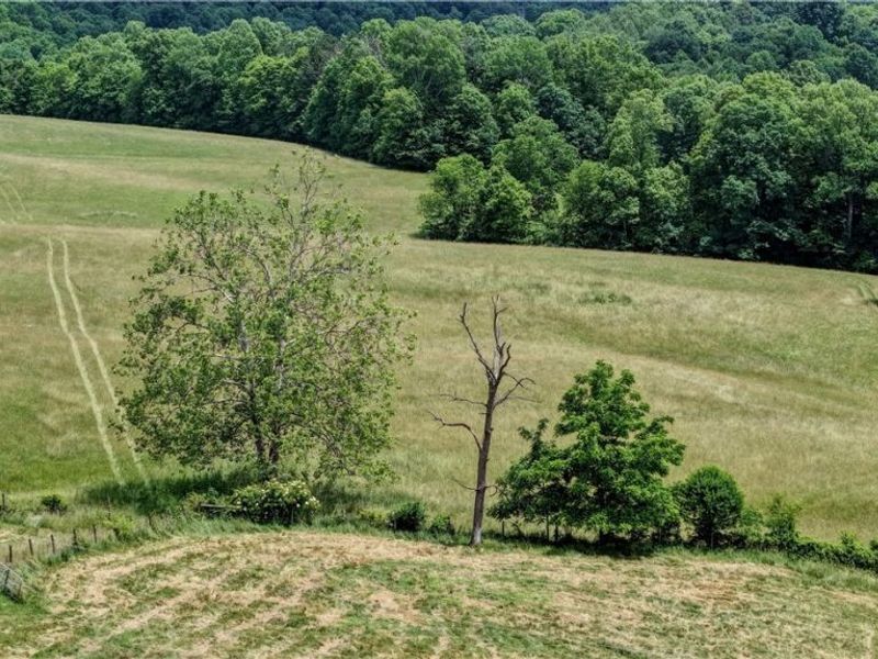 39780 State Route 800, Woodsfield, OH 43793 Photo 2