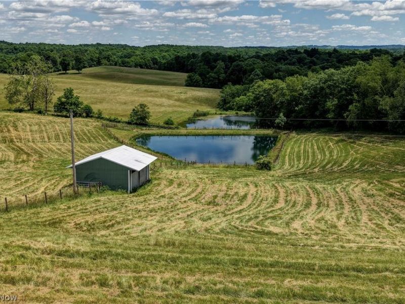 39780 State Route 800, Woodsfield, OH 43793 Photo 7