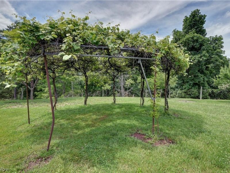 39780 State Route 800, Woodsfield, OH 43793 Photo 8