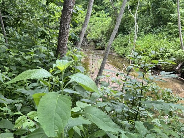 Geeville Road, Baldwyn, MS 38824