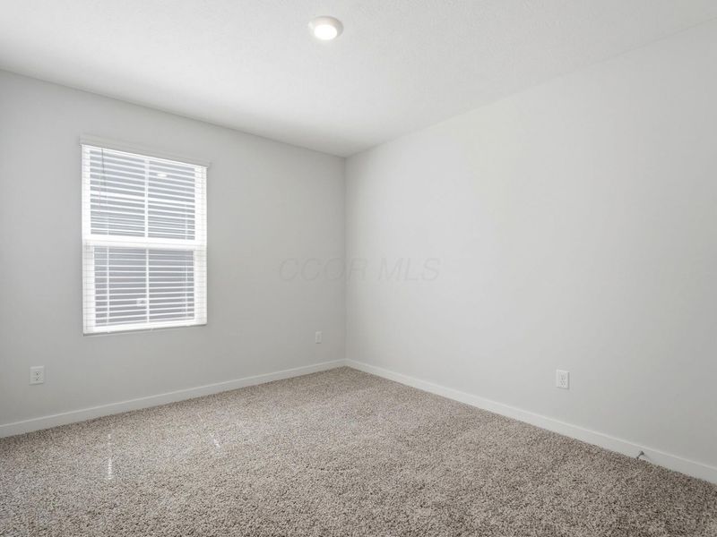 4333 Water Aven Drive, Canal Winchester, OH 43110 Photo 13