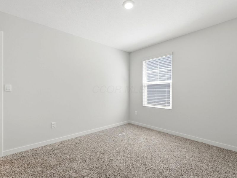 4333 Water Aven Drive, Canal Winchester, OH 43110 Photo 14