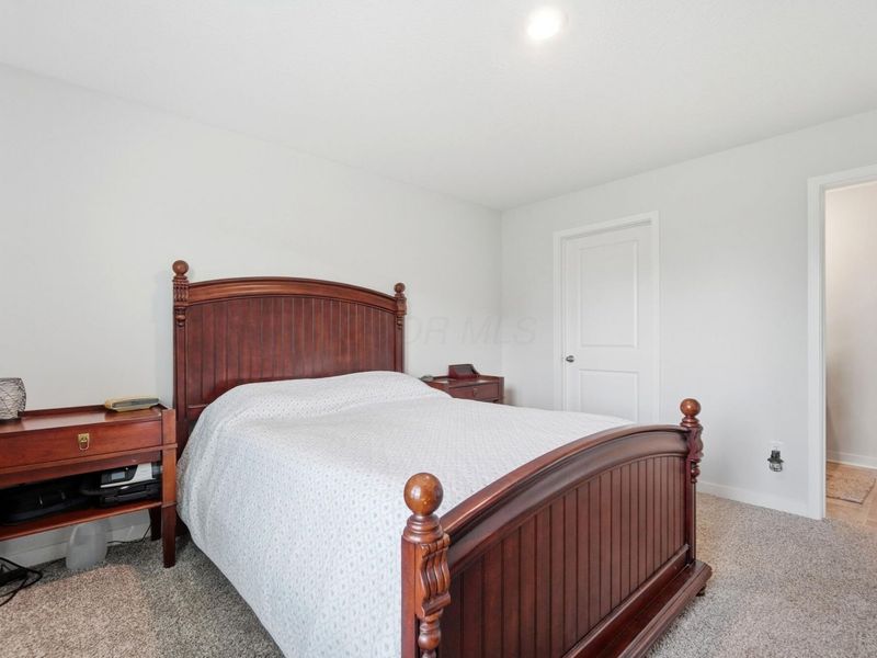 4333 Water Aven Drive, Canal Winchester, OH 43110 Photo 19