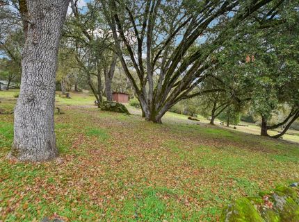7650 Buzzards Gulch Rd, Somerset, CA 95684 Photo