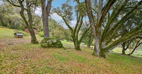 7650 Buzzards Gulch Rd, Somerset, CA 95684 Photo