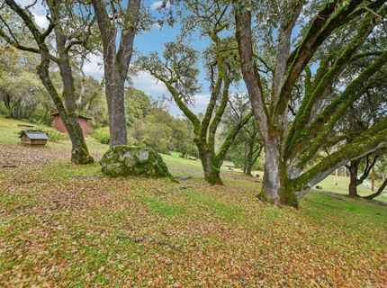 7650 Buzzards Gulch Rd, Somerset, CA 95684 Photo