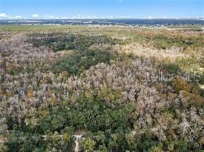 8245 Keefer Trail, Kissimmee, FL 34747 Main Photo