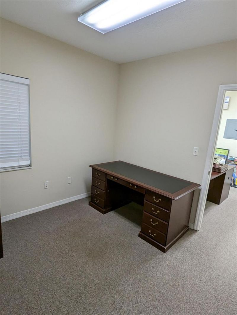 3341 W Bearss Avenue, Tampa, FL 33618 Photo