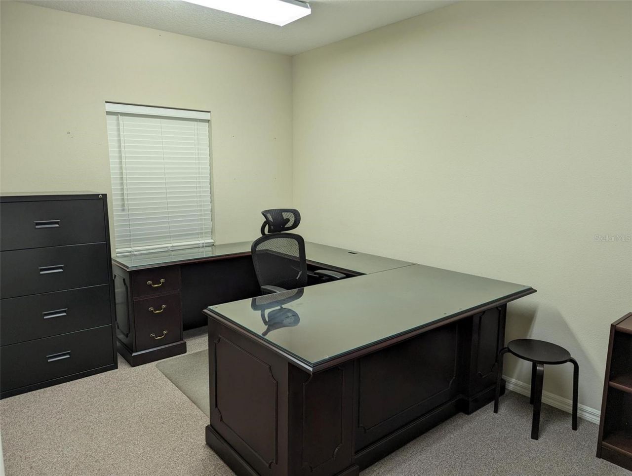 3341 W Bearss Avenue, Tampa, FL 33618 Photo