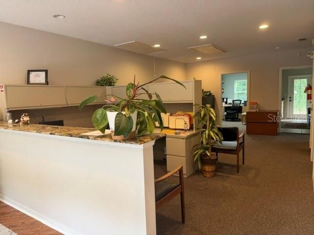 3341 W Bearss Avenue, Tampa, FL 33618 Photo