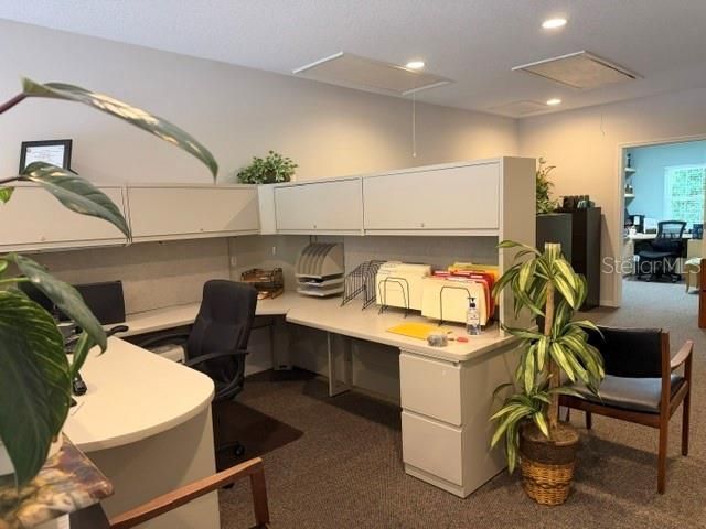 3341 W Bearss Avenue, Tampa, FL 33618 Photo