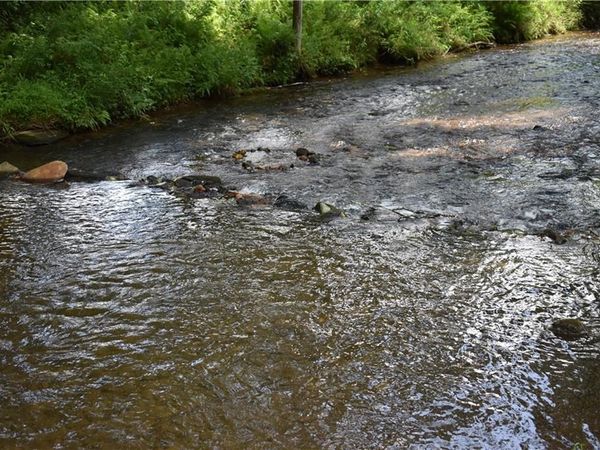 2632 Big Creek Rd, Cherry Log, GA 30522