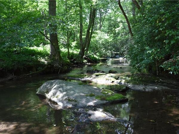2632 Big Creek Rd, Cherry Log, GA 30522