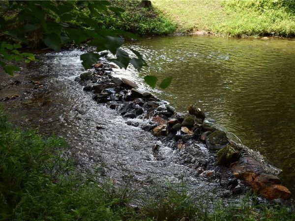 2632 Big Creek Rd, Cherry Log, GA 30522