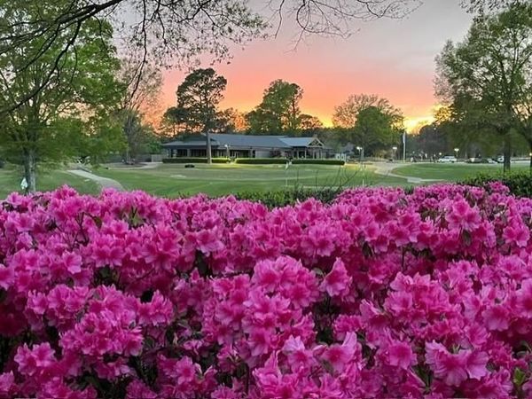 10211 CARNEGIE CLUB DR, Collierville, TN 38017