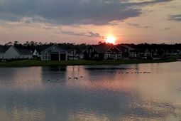 1228 Needle Grass Loop  photo 4