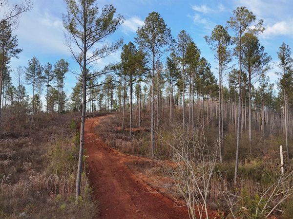005 County Road 175, Piedmont, AL 36272