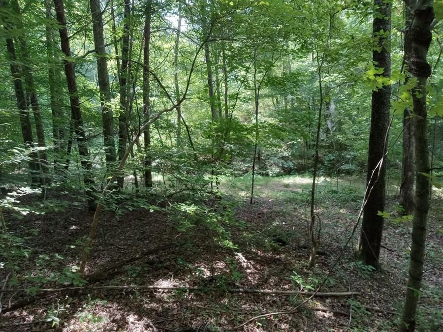 Property Image 104