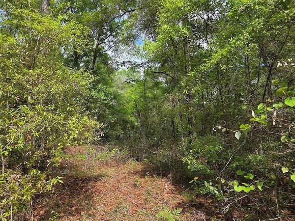 Lots 4 & 5 NW 56TH STREET , CHIEFLAND, FL 32626