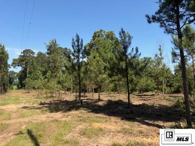999 Cypress Creek Road, Farmerville, LA 71294 Main Photo