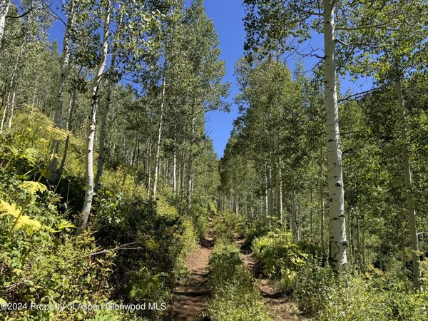 N/A F S 602 Road, Glenwood Springs, CO 81601