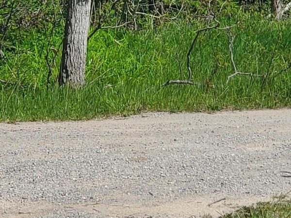 40 AC Werth Road, Alpena, MI 49707