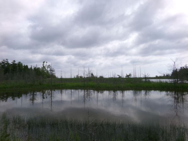 3305 El Cajon Beach Road, Alpena, MI 49707