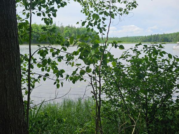 2195 Lake Drive, Mio, MI 48647