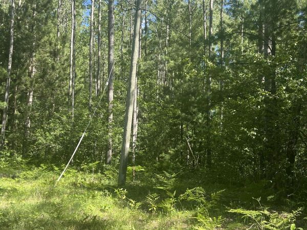 Parcel 3 Zacek Drive, Roscommon, MI 48653