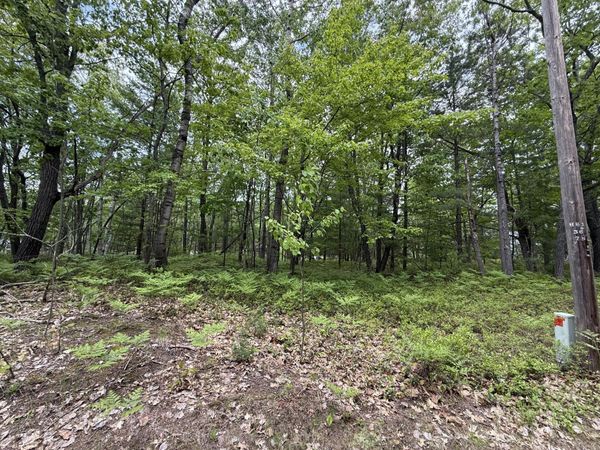 Lot 12 Joy Lane, Ocqueoc, MI 49759