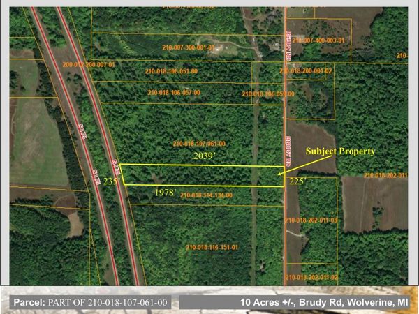 10.4 AC Brudy Road, Wolverine, MI 49799