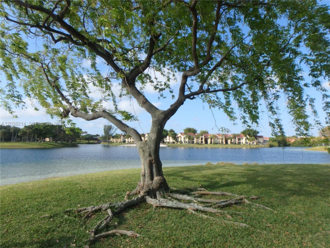 9727 Hammocks Blvd , Unit 101D, Miami, FL 33196 Photo