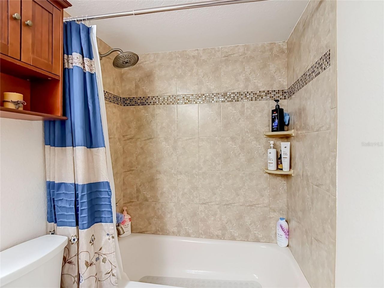3008 Ripplewood Drive , Seffner, FL 33584 Photo