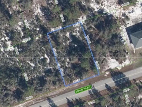 117 Bonnie RD NW, LAKE PLACID, FL 33852