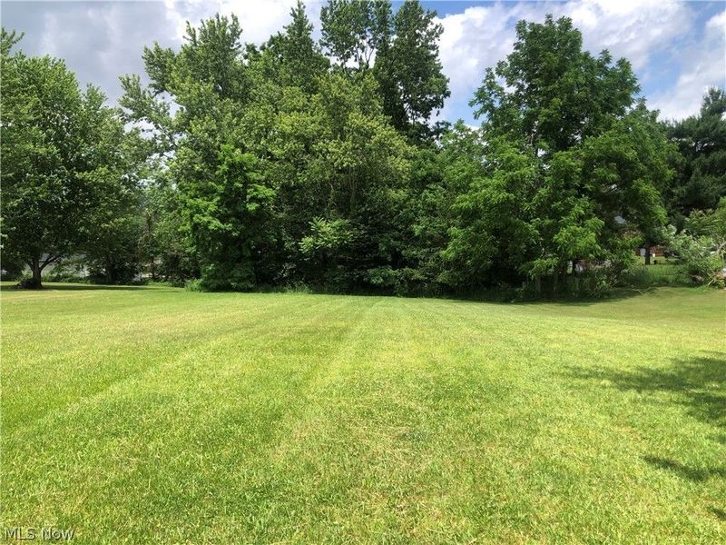 Lillian Street SW, Canton, OH 44706 Photo 3