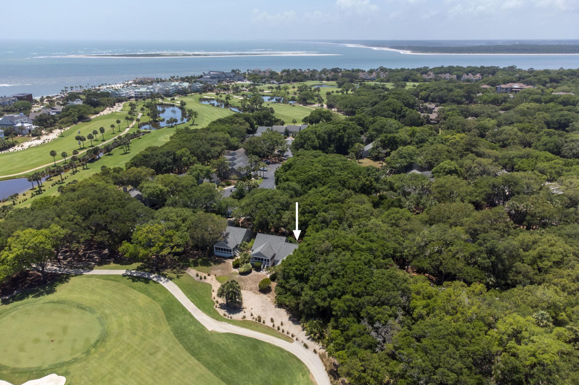 441 Double Eagle Trace Photo 40