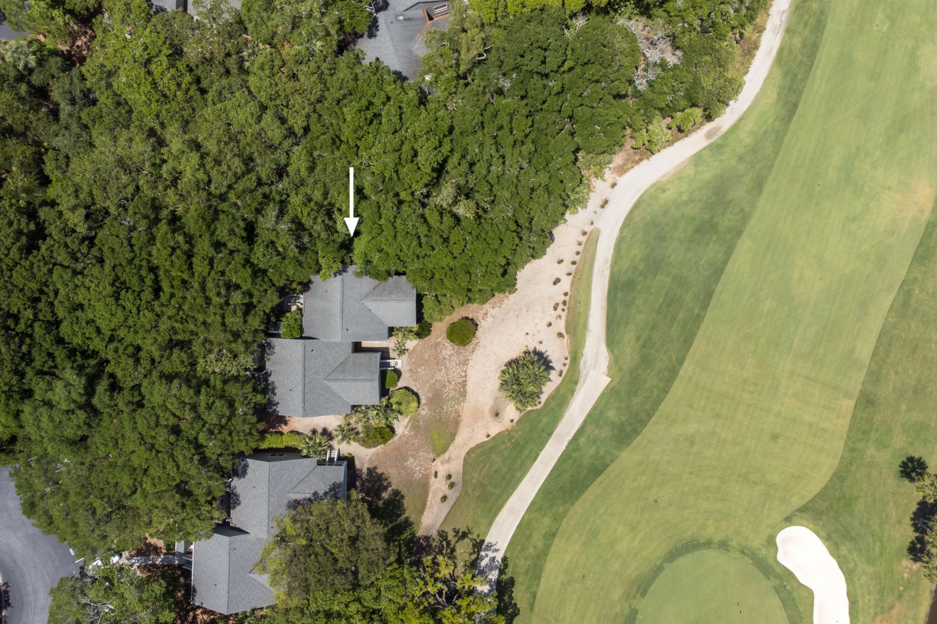 441 Double Eagle Trace Photo 44