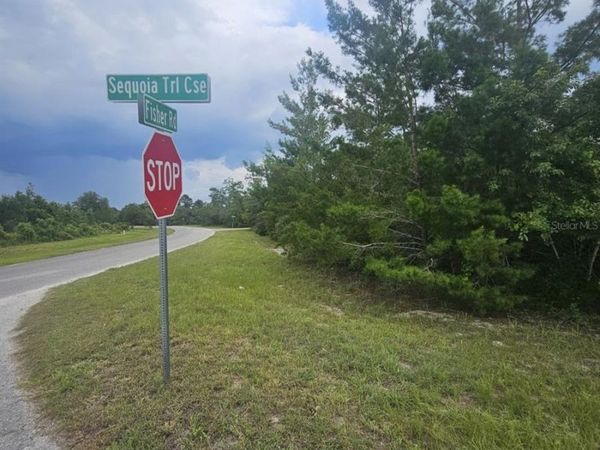 00 FISHER ROAD, OCKLAWAHA, FL 32179