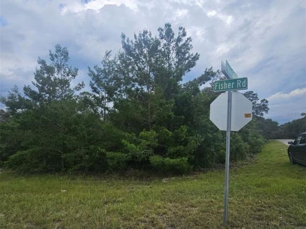 Lot 1 FISHER ROAD, OCKLAWAHA, FL 32179