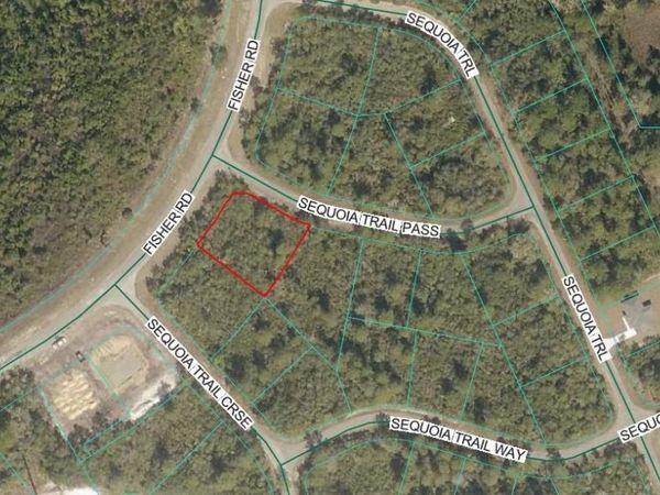 00 FISHER ROAD, OCKLAWAHA, FL 32179